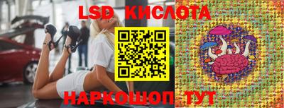 дурь Берёзовский