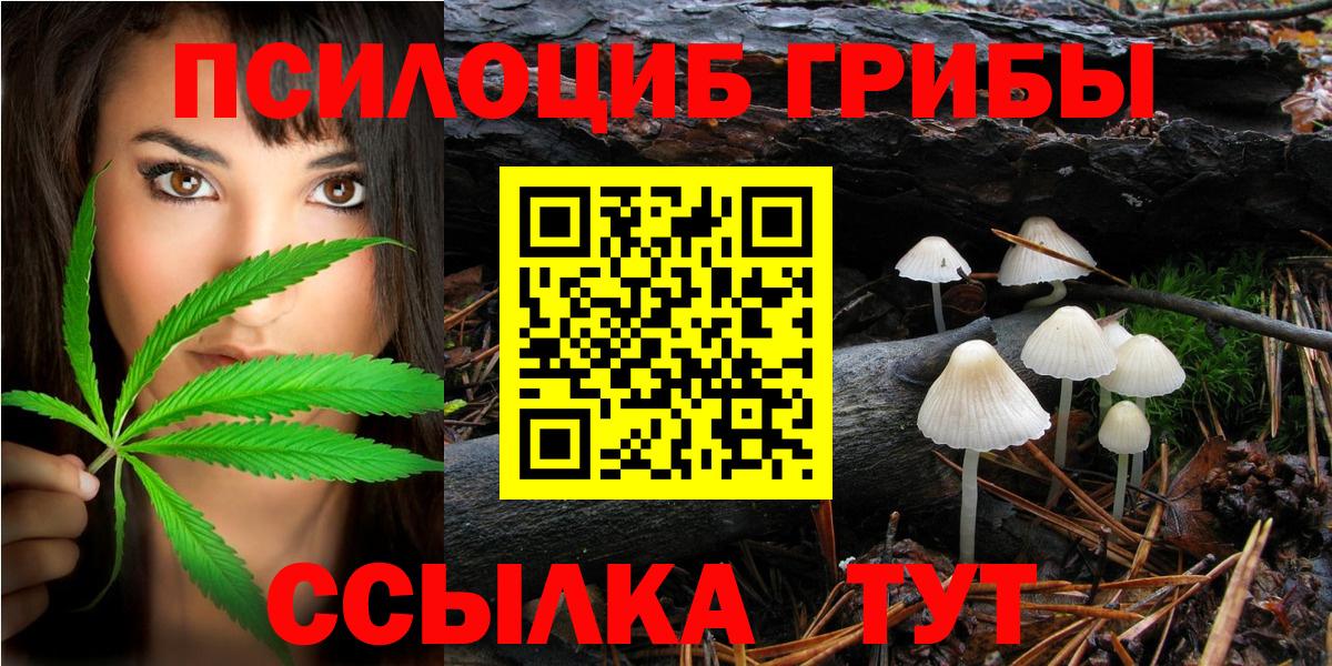 Галлюциногенные грибы Psilocybine cubensis  Вход с VPN  Гурьевск  Галлюциногенные грибы Psilocybine cubensis 